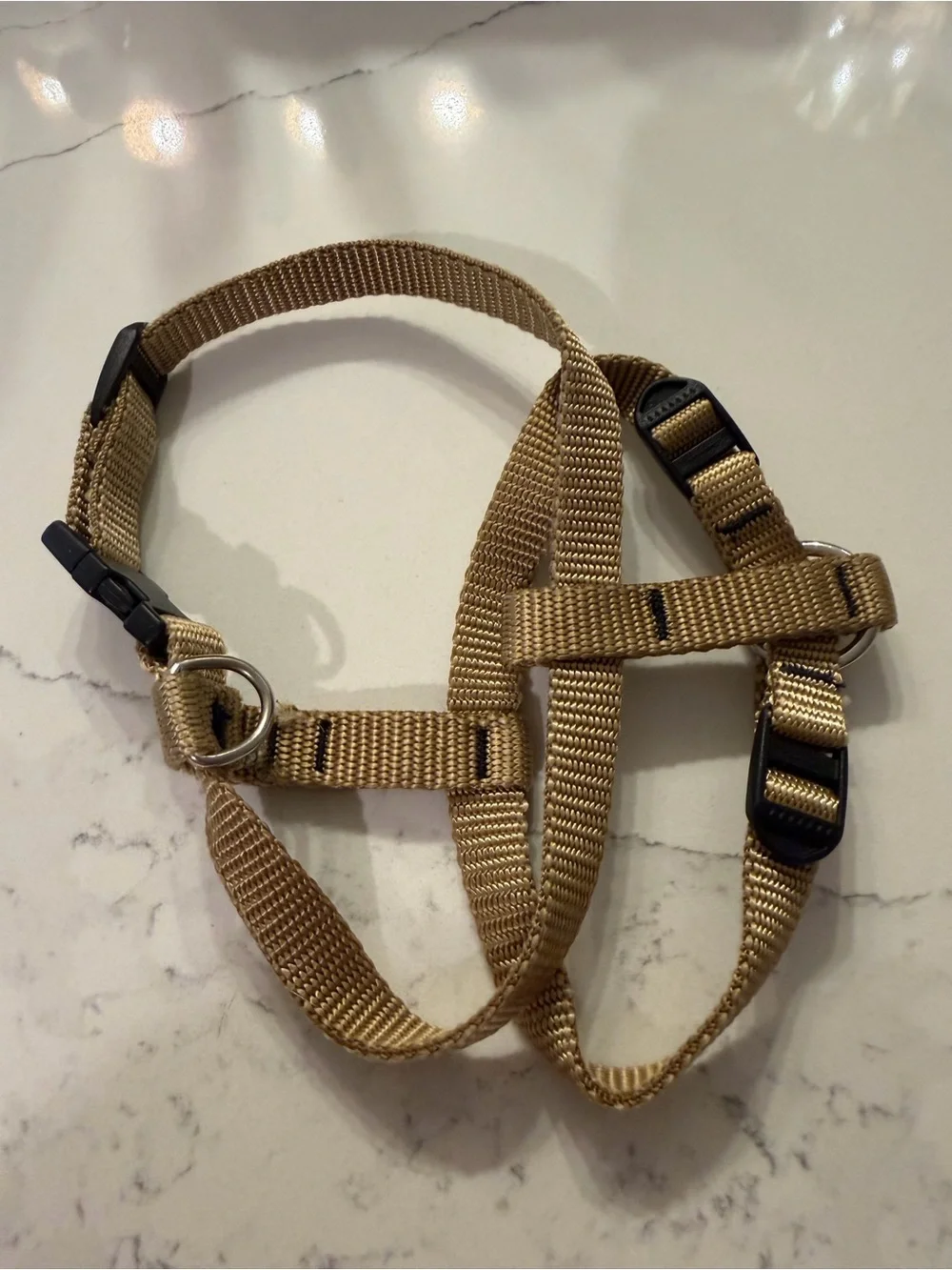 Premium Paw Gear Tan Adjustable Dog Harness/Collar Combo - Like New